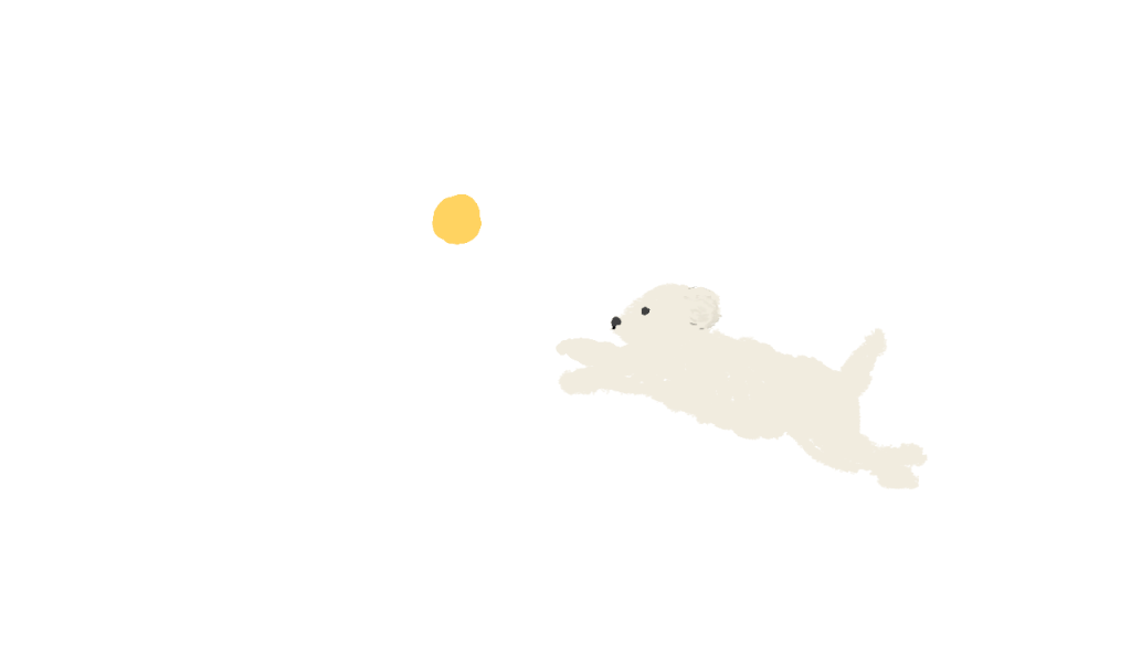 トイプードルイラスト