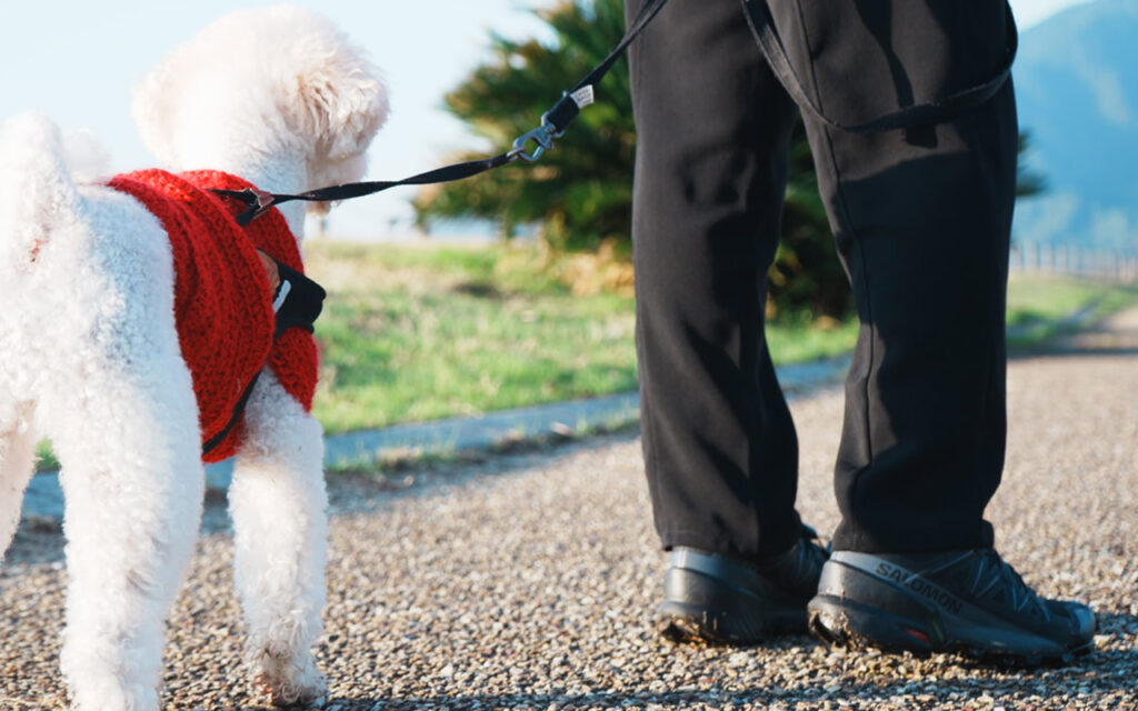 サロモン着用レビュー