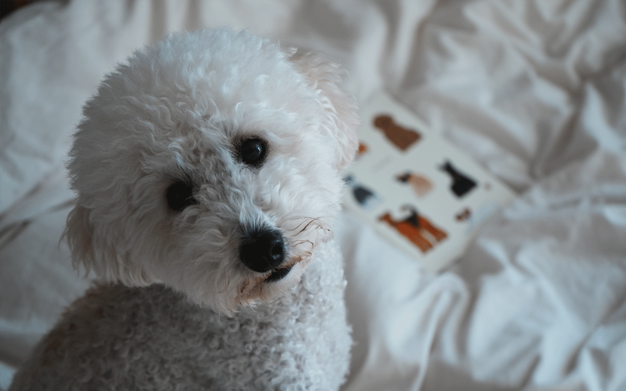 米津祐介さんのグッズ